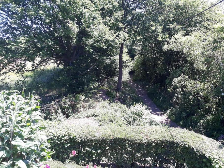Studio Au Jardin Fleuri 베르비에 외부 사진